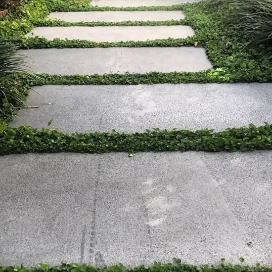 rectangular-bluestone-stepping-stone.webp Rectangular bluestone stepping stone