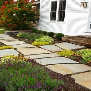 Sandstone stepping stones