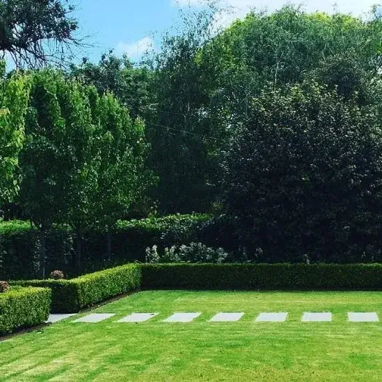 stepping-stone-pavers-melbourne.webp Stepping stone pavers melbourne
